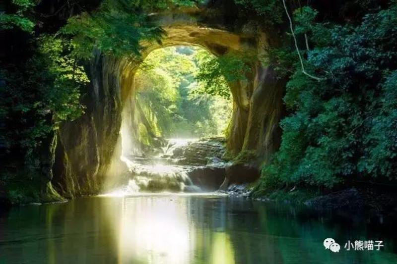 “南橘北莓”背后:“出圈”的特色鲜果兴业助农